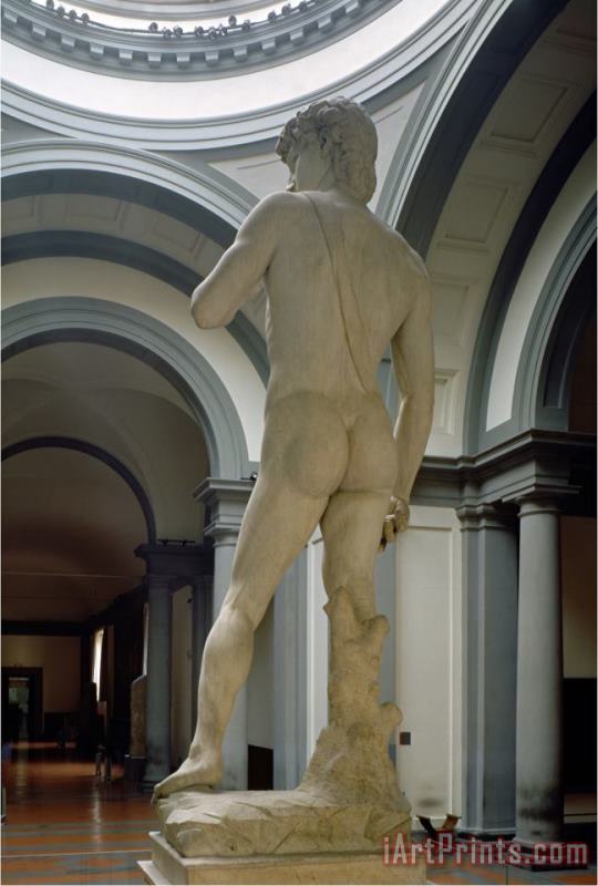 Michelangelo Buonarroti David View From Behind 1504 Art Print