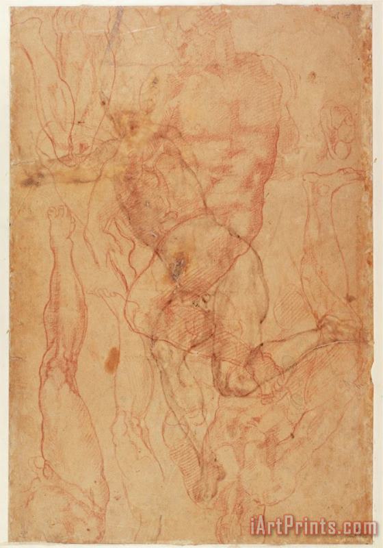 Michelangelo Buonarroti Figure Study Red Chalk on Paper Art Painting