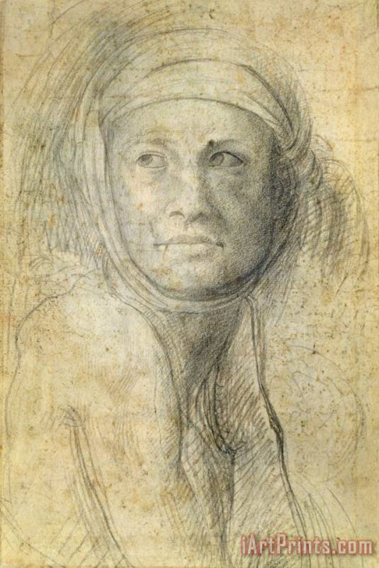 Head of a Woman painting - Michelangelo Buonarroti Head of a Woman Art Print