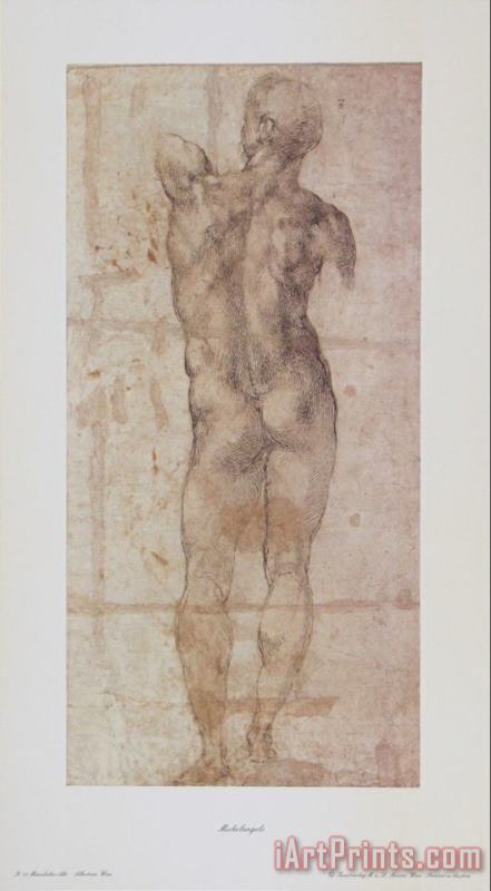 Male Nude painting - Michelangelo Buonarroti Male Nude Art Print
