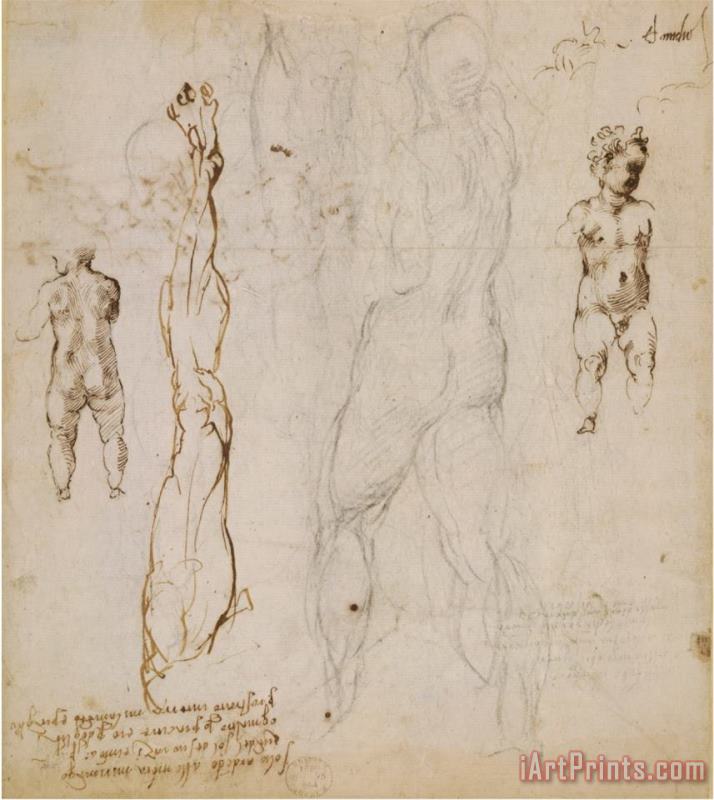 Michelangelo Eight Studies of Nude Children painting - Michelangelo Buonarroti Michelangelo Eight Studies of Nude Children Art Print