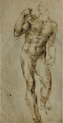 Michelangelo Buonarroti Nude Male Figure Seen Frontally Circa 1502 1506