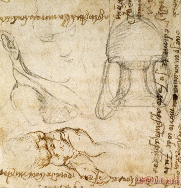 Page From a Sketchbook with Figure Studies And Notes painting - Michelangelo Buonarroti Page From a Sketchbook with Figure Studies And Notes Art Print