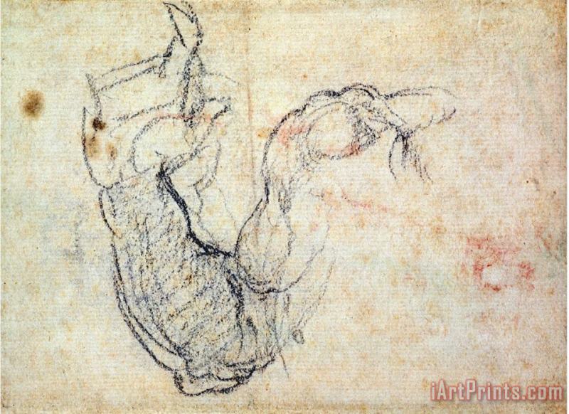 Michelangelo Buonarroti Preparatory Study for The Arm of Christ in The Last Judgement 1535 41 Art Painting