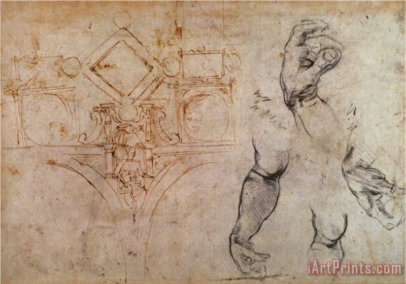 Scheme for The Sistine Chapel Ceiling C 1508 painting - Michelangelo Buonarroti Scheme for The Sistine Chapel Ceiling C 1508 Art Print