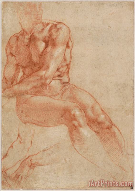 Seated Young Male Nude And Two Arm Studies (recto) painting - Michelangelo Buonarroti Seated Young Male Nude And Two Arm Studies (recto) Art Print