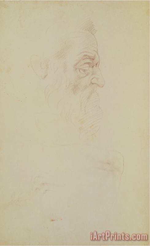 Michelangelo Buonarroti Sketch of a Male Head And Two Legs Art Print