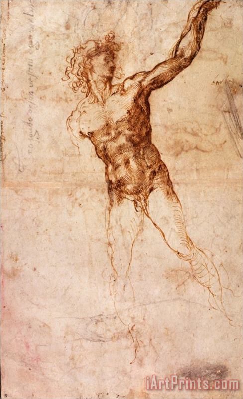 Sketch of a Nude Man painting - Michelangelo Buonarroti Sketch of a Nude Man Art Print
