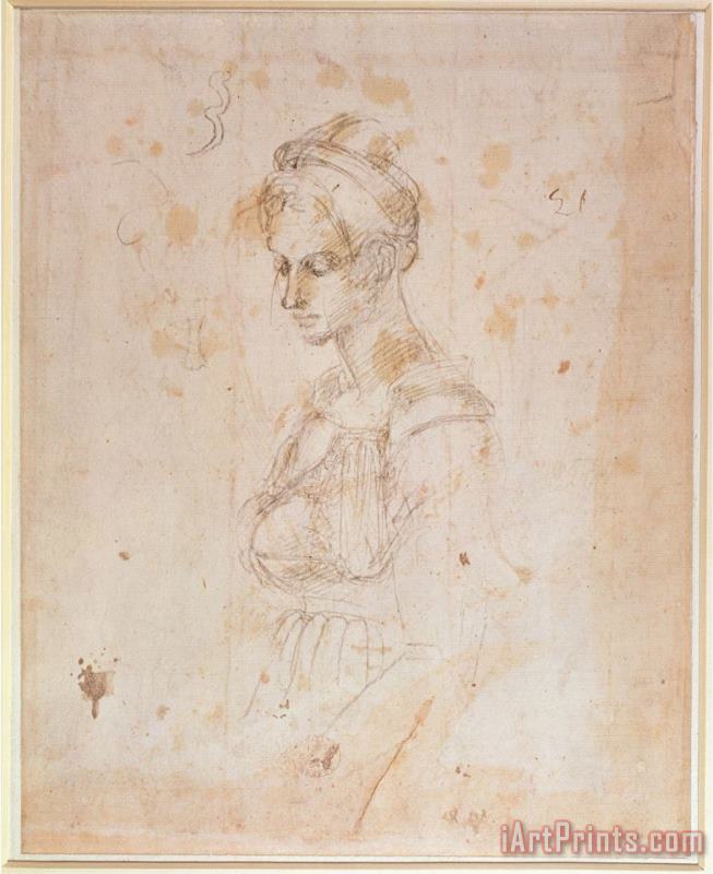 Sketch of a Woman painting - Michelangelo Buonarroti Sketch of a Woman Art Print