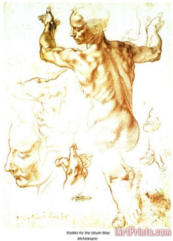 Michelangelo Buonarroti Studies for The Libyan Sibyl Art Print