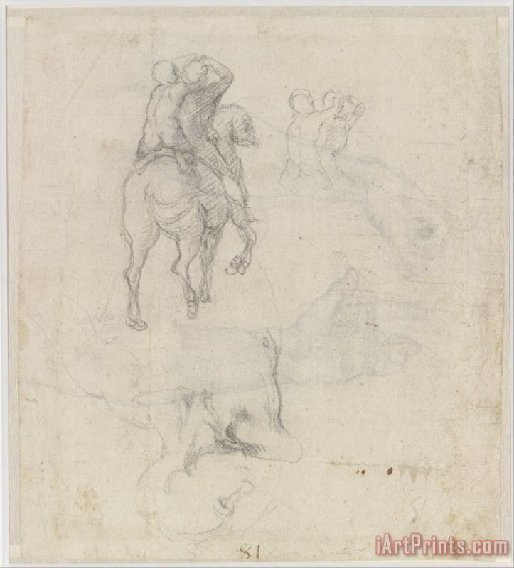 Studies of a Horse with Two Nude Riders And a Male Torso painting - Michelangelo Buonarroti Studies of a Horse with Two Nude Riders And a Male Torso Art Print