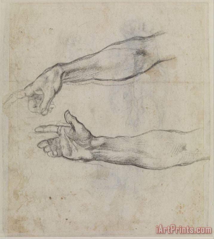Studies of an Outstretched Arm for The Fresco 'the Drunkenness of Noah' in The Sistine Chapel. painting - Michelangelo Buonarroti Studies of an Outstretched Arm for The Fresco 'the Drunkenness of Noah' in The Sistine Chapel. Art Print