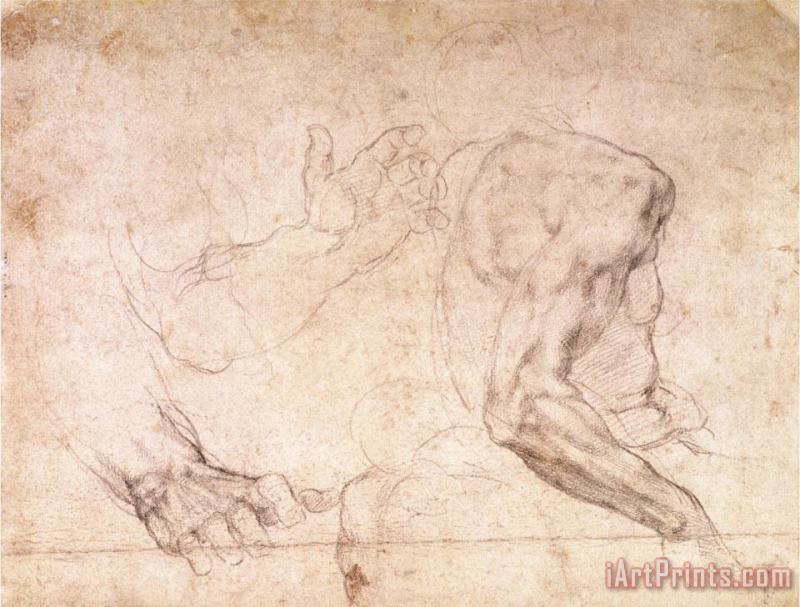Michelangelo Buonarroti Studies of Hands And an Arm Art Painting