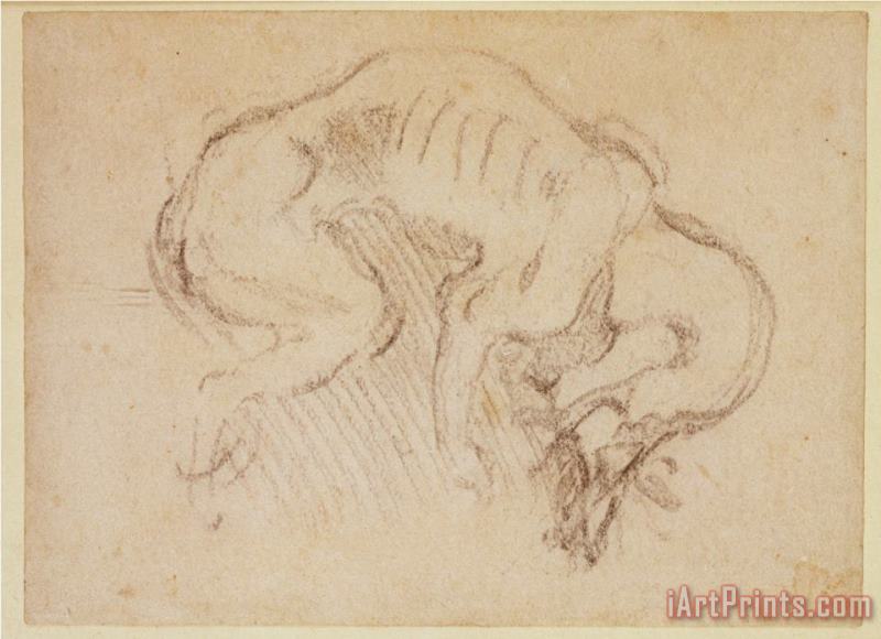 Michelangelo Buonarroti Study of a Dog Art Print