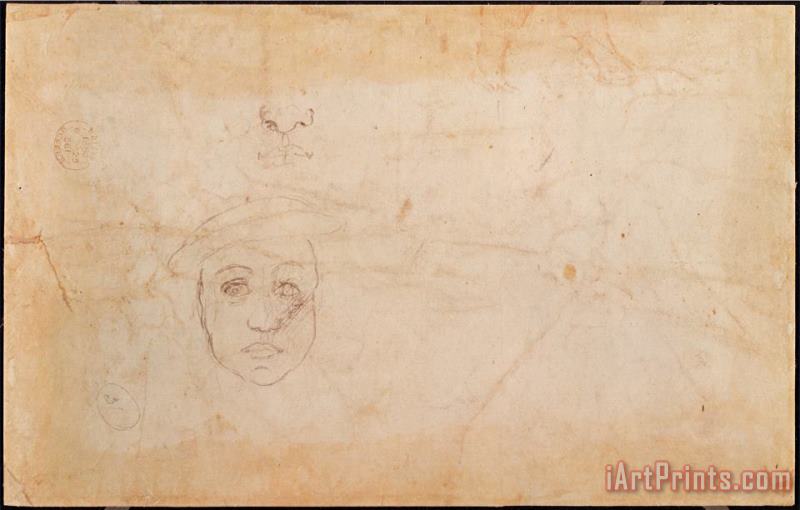 Michelangelo Buonarroti Study of a Male Head Pencil on Paper Verso Art Painting