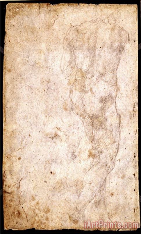 Michelangelo Buonarroti Study of a Male Nude Art Print
