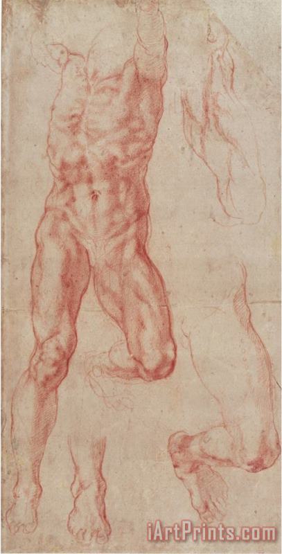 Michelangelo Buonarroti Study of a Male Nude Stretching Upwards Art Print