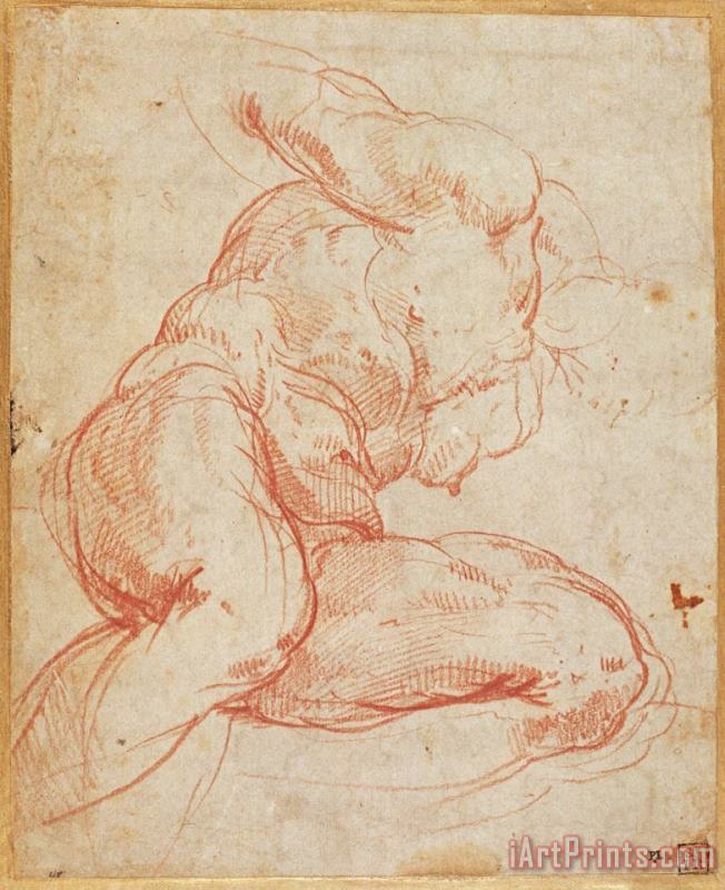 Study of a Nude Red Chalk on Paper painting - Michelangelo Buonarroti Study of a Nude Red Chalk on Paper Art Print