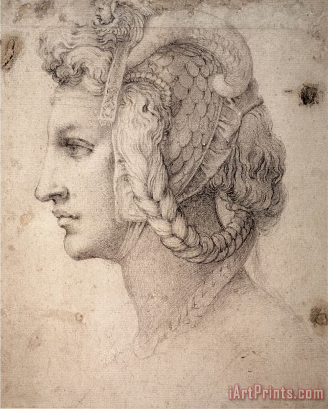Study of Head painting - Michelangelo Buonarroti Study of Head Art Print