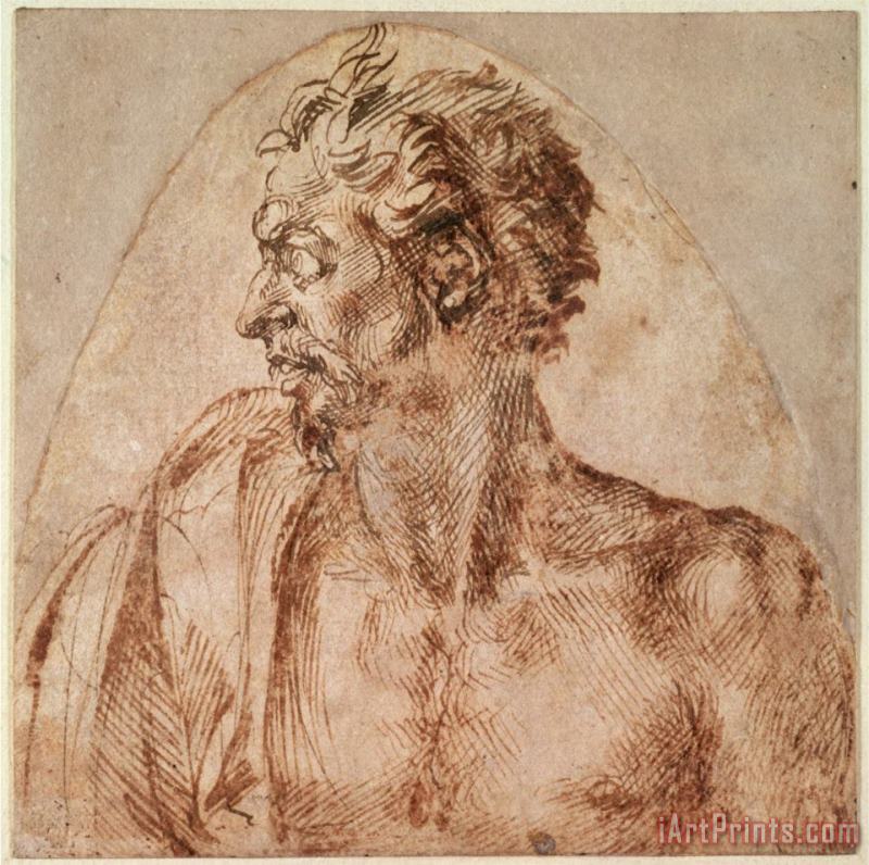Michelangelo Buonarroti Study of Head And Shoulders Art Painting