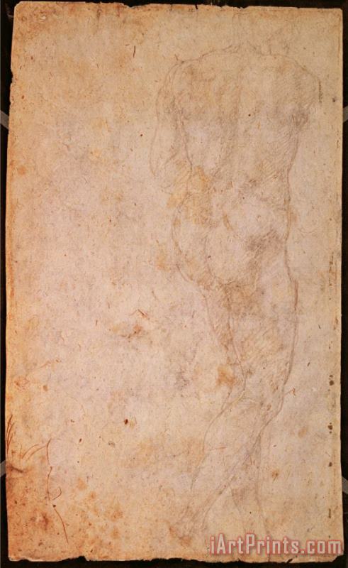 Michelangelo Buonarroti W 48 Sketch of a Standing Male Nude Rear View Art Print