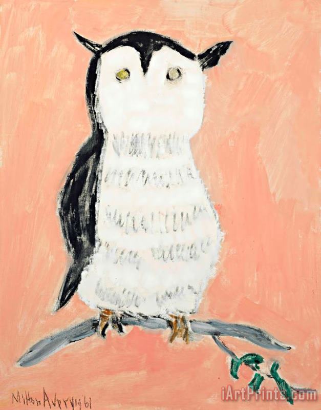 Milton Avery Yellow Eyed Owl, 1961 Art Print