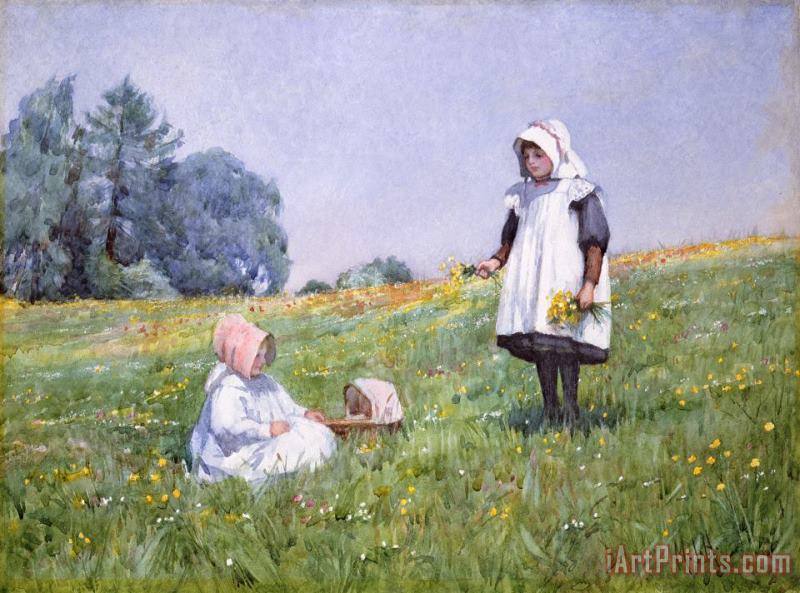 Buttercups and Daisies painting - Minnie Jane Hardman Buttercups and Daisies Art Print