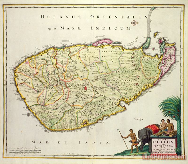 Nicolas Visscher Antique Map of Ceylon Art Print