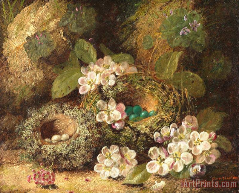 Oliver Clare Primroses and Bird's Nests on a Mossy Bank Art Painting