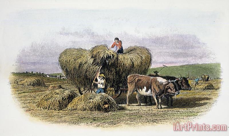 Others 19th CENTURY AMERICAN FARM Art Print