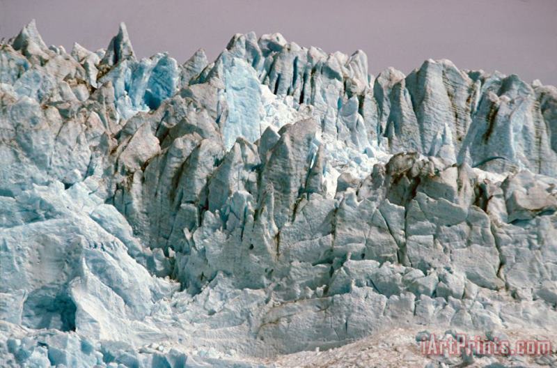 Others Alaska Glaciers Art Print
