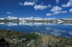 Others Altai