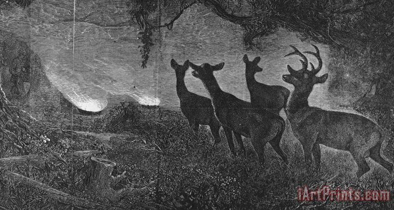 Others America: Deer Hunt, 1867 Art Painting