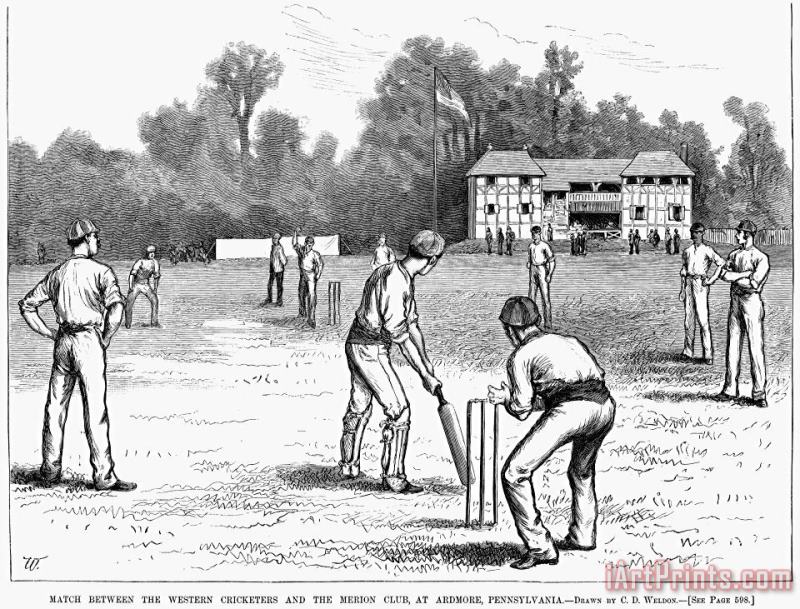 Others American Cricket, 1882 Art Print