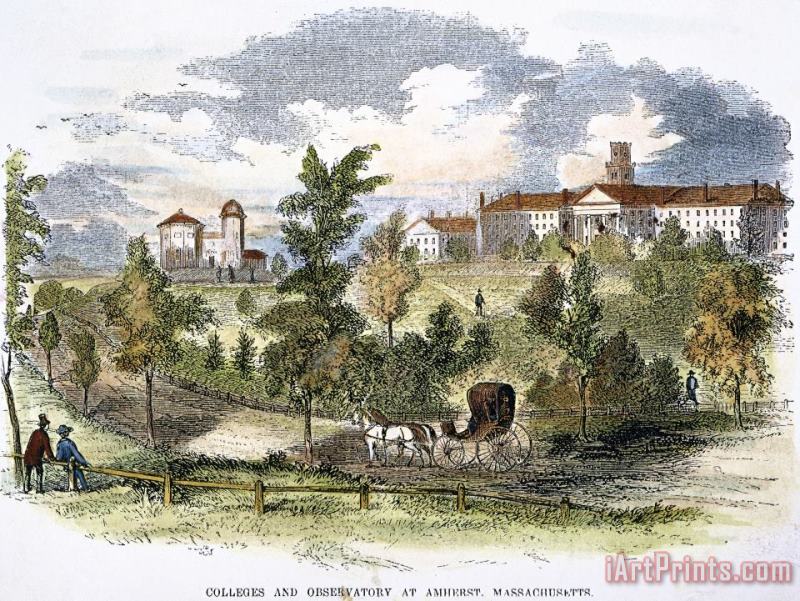 Others Amherst College, 1855 Art Print