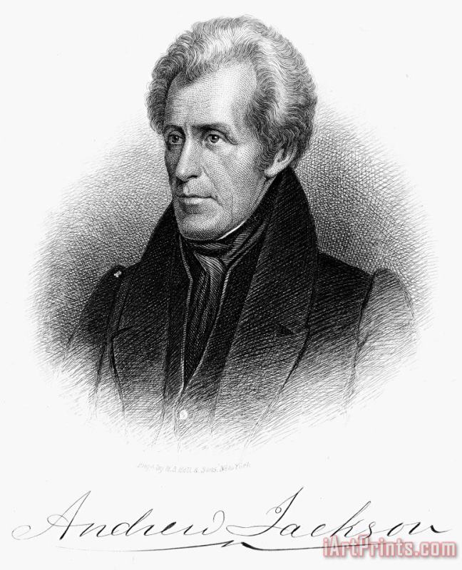 Others Andrew Jackson (1767-1845) Art Print