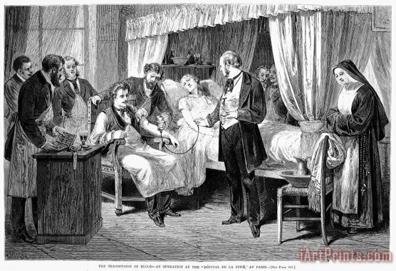 Others Blood Transfusion, 1874 Art Print