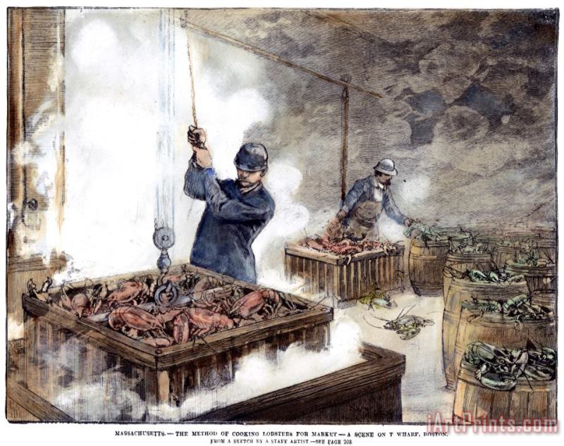 Others Boiling Lobsters, 1886 Art Print
