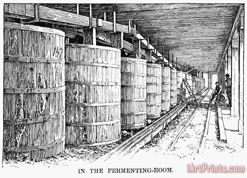 California: Winery, 1889 painting - Others California: Winery, 1889 Art Print