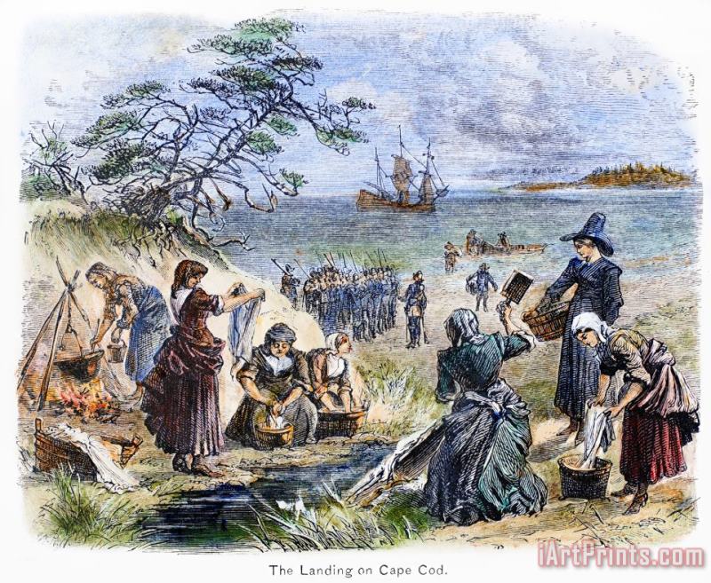 Cape Cod: Pilgrims painting - Others Cape Cod: Pilgrims Art Print