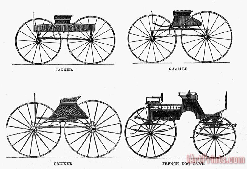 Others CARRIAGE TYPES, c1860 Art Painting