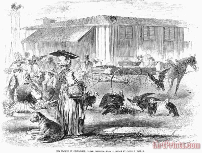 Others Charleston: Market, 1866 Art Print