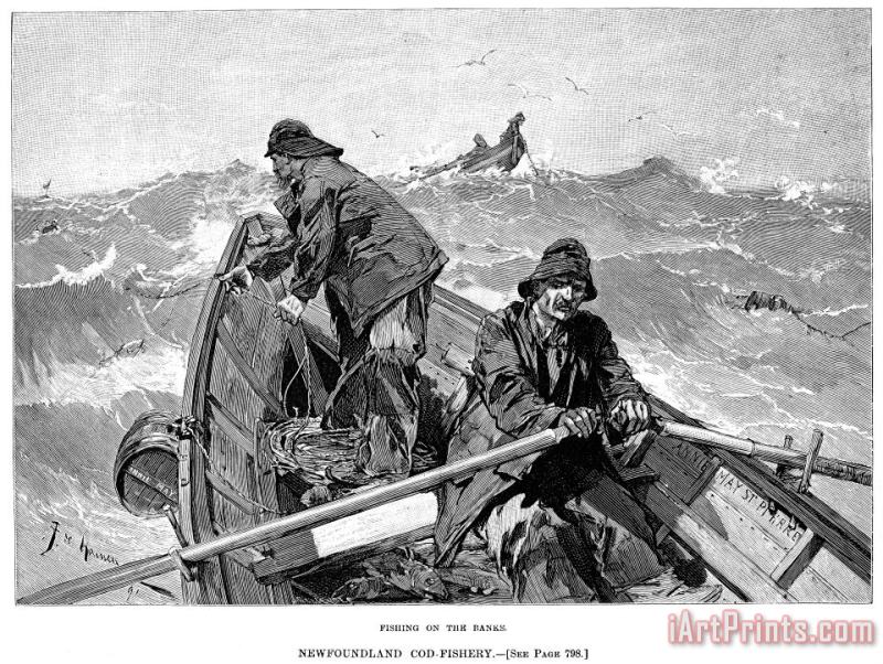 Others Cod Fishing, 1891 Art Print