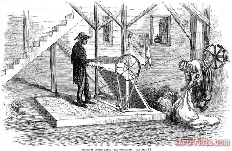 Cotton Gin, 1871 painting - Others Cotton Gin, 1871 Art Print