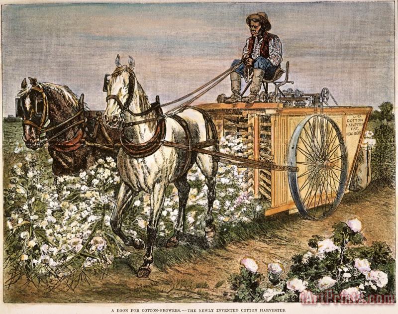 Others Cotton Harvester, 1886 Art Painting