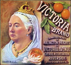 Others CRATE LABEL, 20th CENTURY