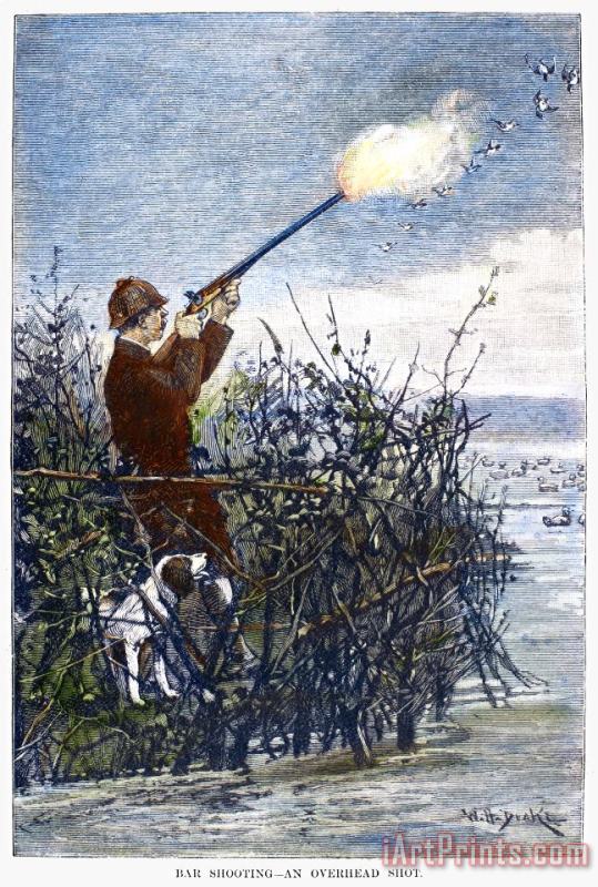 Others Duck Hunting, 1888 Art Print