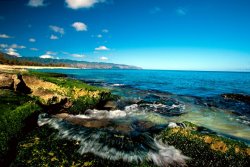Others Exposed Reef And Tidal Surge North Shore Oahu Hawaii painting