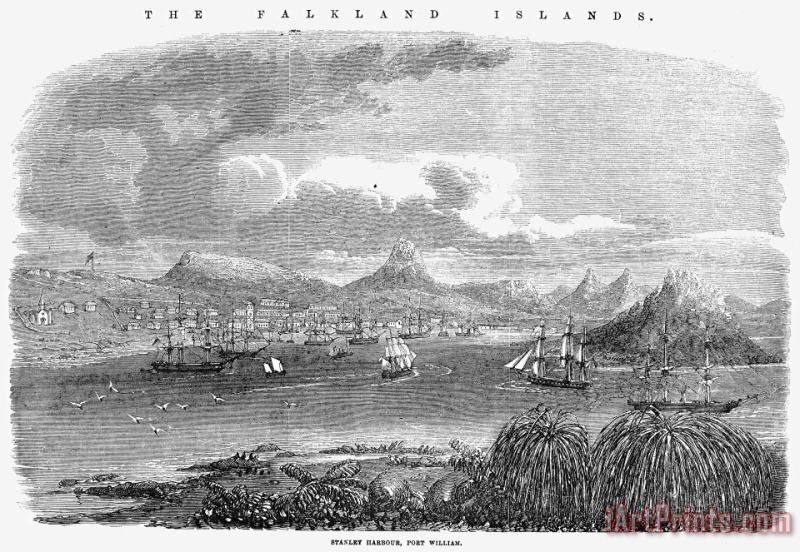 Others Falkland Islands, 1856 Art Painting