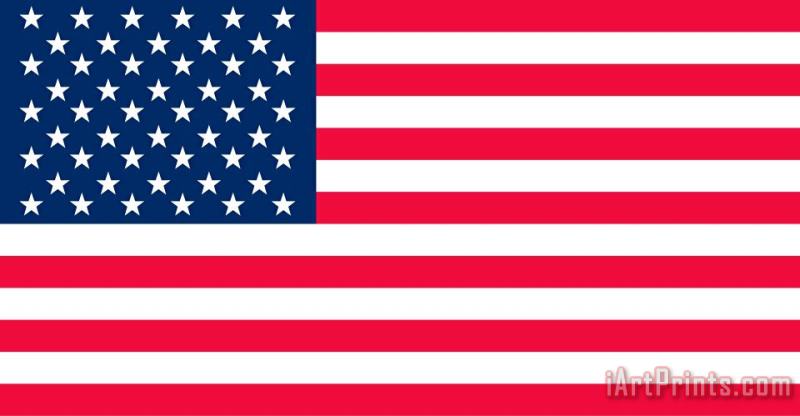 Others Flag Of The United States Of America Art Painting